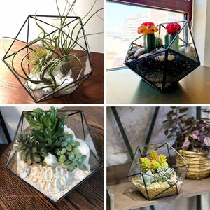 Terrarium Plante Cube Verre avec Structure Métal Élégante