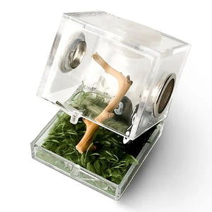 Kit Complet Boîte d'Élevage Reptiles Acrylique