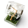 Kit Complet Boîte d'Élevage Reptiles Acrylique