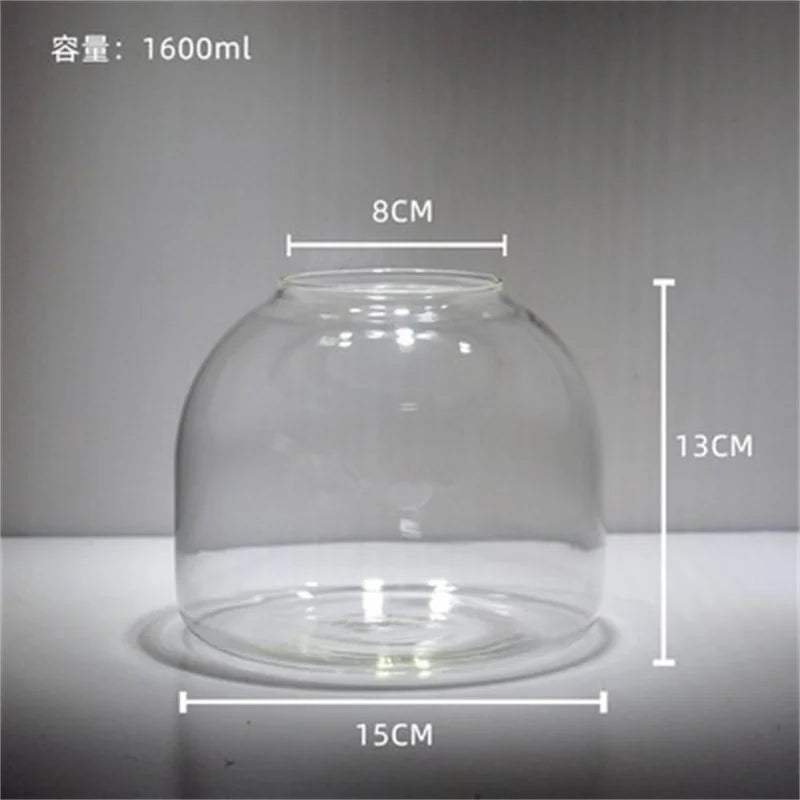 Terrarium Plante en Vase Borosilicate