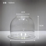Terrarium Plante en Vase Borosilicate