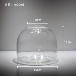 Terrarium Plante en Vase Borosilicate