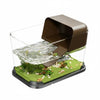Terrarium Plastique Transparent pour Plantes et Invertébrés - VIVARIUM PRO