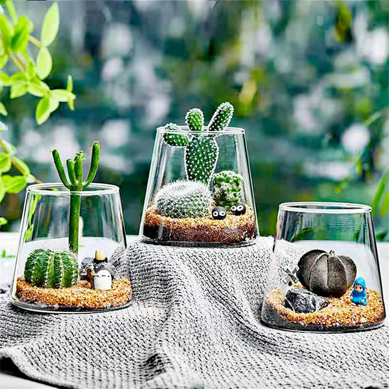 Terrarium Plante en Verre Borosilicate