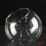 Terrarium Plante - Boules de Verre Borosilicate Transparent
