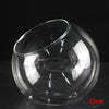 Terrarium Plante - Boules de Verre Borosilicate Transparent
