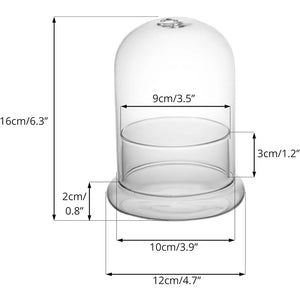 Terrarium Plante Cloche en Verre avec  Base