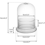 Terrarium Plante Cloche Verre Borosilicate avec Base Ventilée