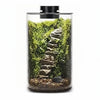 Lampe LED Croissance Spectre Complet pour Terrarium Plante