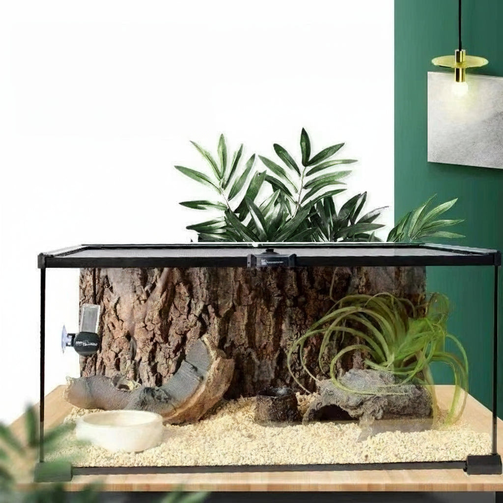 Mini Terrarium Verre – Boîte Élevage Reptiles Verrou Magnétique