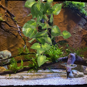 Plante Artificielle Sécuritaire pour Terrarium Reptiles et Aquarium