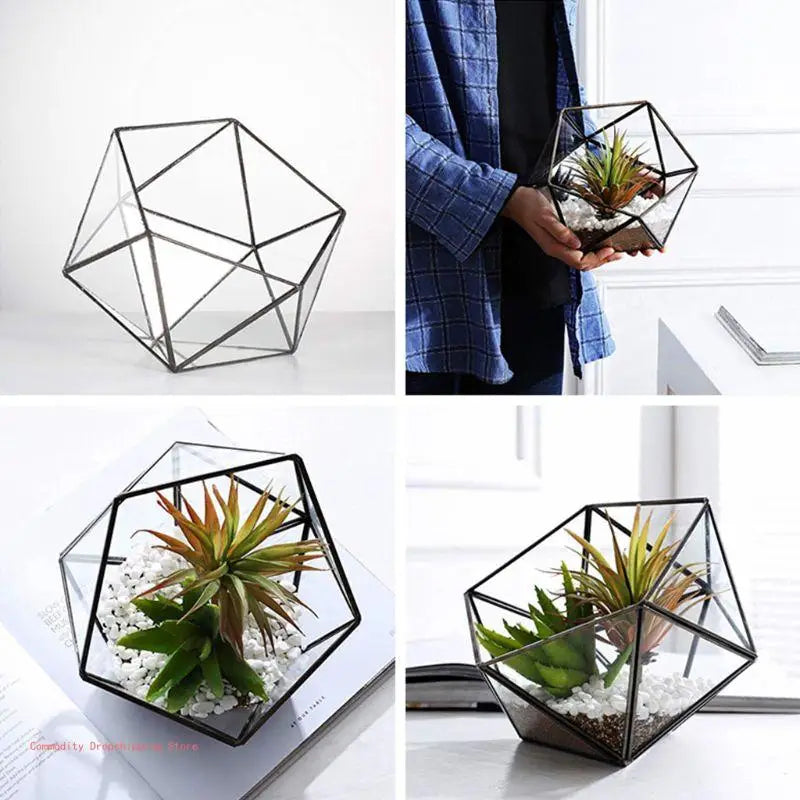 Terrarium Plante Cube Verre avec Structure Métal Élégante