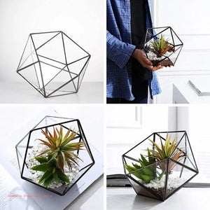 Terrarium Plante Cube Verre avec Structure Métal Élégante