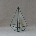 Terrarium Plante Géométrique Vertical Verre et Métal Design - VIVARIUM PRO