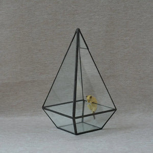 Terrarium Plante Géométrique Vertical Verre et Métal Design - VIVARIUM PRO