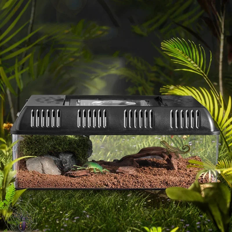 Terrarium D'élevage en plein Air Reptiles et Amphibiens