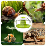 Maison d'Élevage pour Escargots et Reptiles – Boîte d'Alimentation ABS/PC Transparent avec Poignée