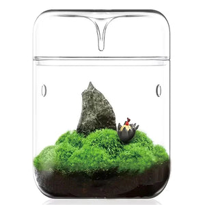 Terrarium Plante en Verre avec Couvercle Anti-Condensation