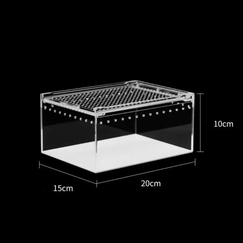 Terrarium Acrylique Transparent pour Reptiles et Invertébrés