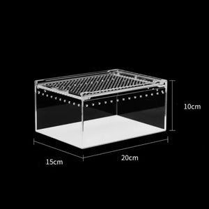 Terrarium Acrylique Transparent pour Reptiles et Invertébrés