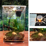 Terrarium Acrylique Ultra-Transparent pour Reptiles et Invertébrés