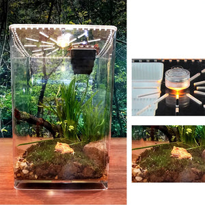 Terrarium Acrylique Ultra-Transparent pour Reptiles et Invertébrés