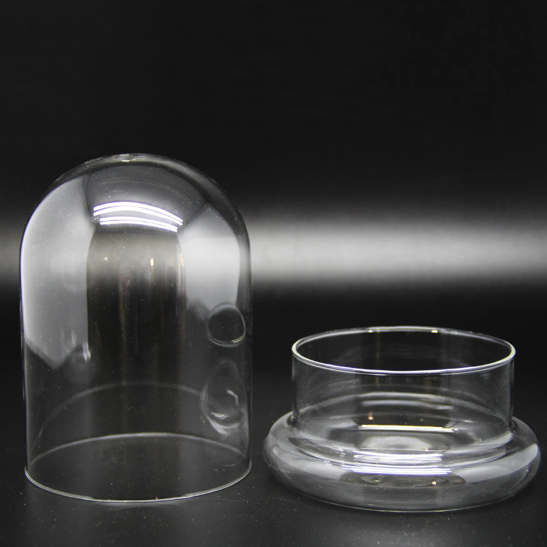 Terrarium Plante Dôme en Verre Borosilicate Fait Main