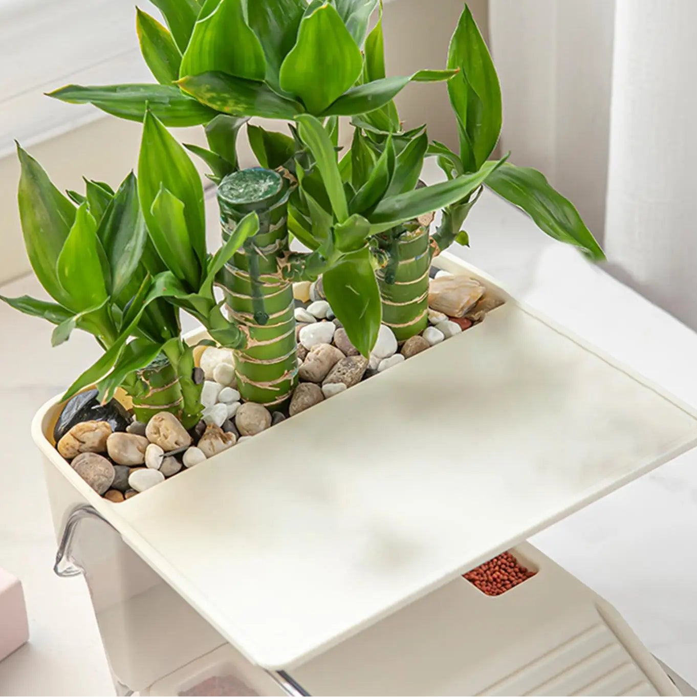 Terrarium Tortue avec Zone de Lézardage