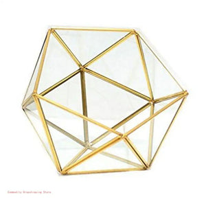 Terrarium Plante Cube Verre avec Structure Métal Élégante