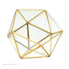 Terrarium Plante Cube Verre avec Structure Métal Élégante