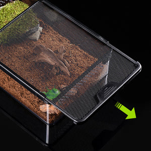Boîte d'Élevage Reptiles PC Robuste – Terrarium Transparent