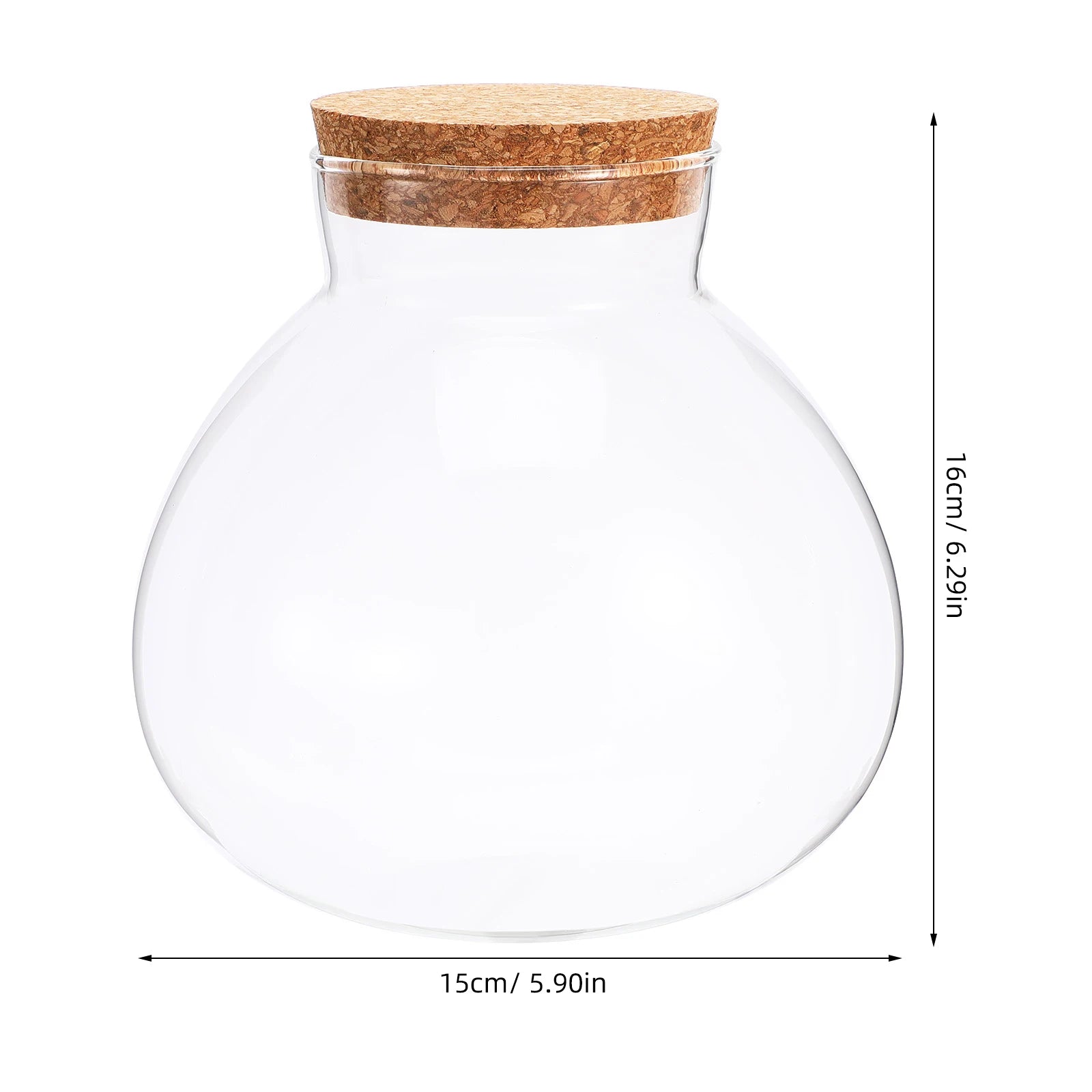 Terrarium Plante DIY en Verre avec Bouchon Liège