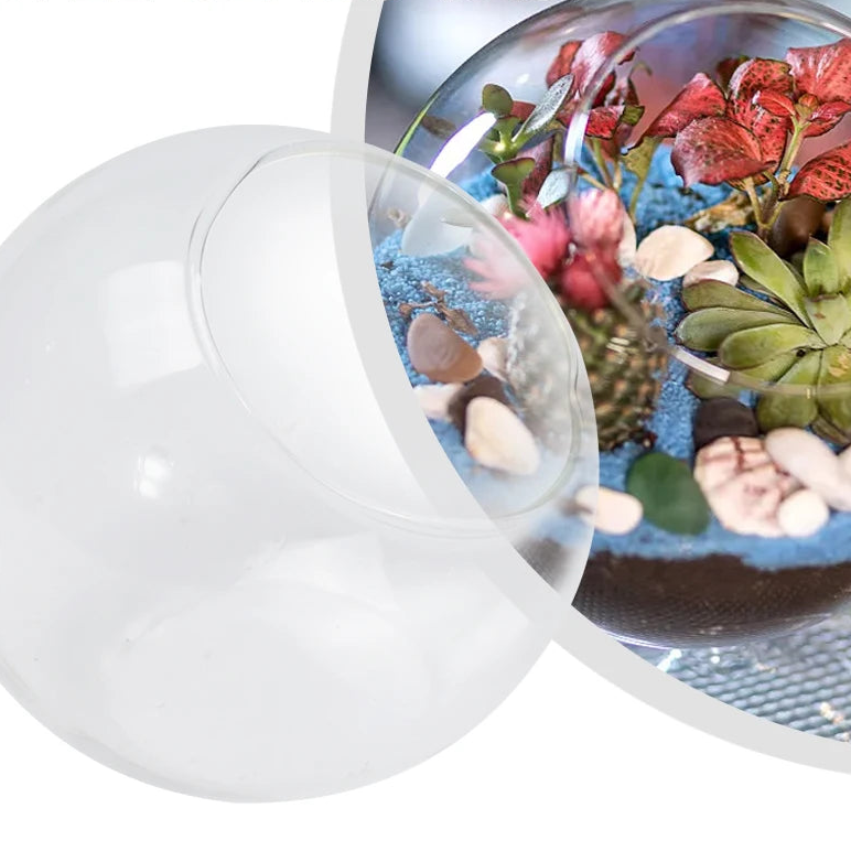 Terrarium Plante - Boules de Verre Borosilicate Transparent