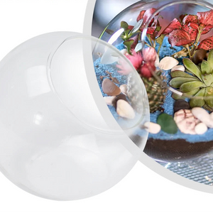 Terrarium Plante - Boules de Verre Borosilicate Transparent