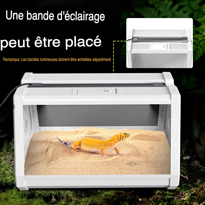 Terrarium Compact Blanc – Gecko
