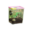 Boîte d'Élevage Reptiles Acrylique – Terrarium Ventilé