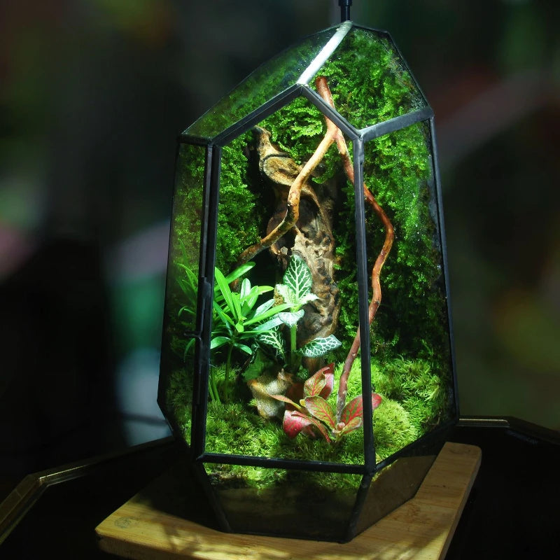 Terrarium Plante Verre et Cuivre Fait Main Style Vintage - VIVARIUM PRO