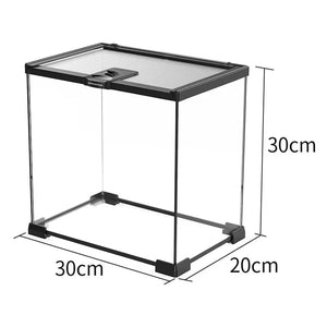 Mini Terrarium Verre – Boîte Élevage Reptiles Verrou Magnétique