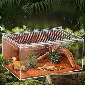Terrarium Acrylique Transparent pour Reptiles et Invertébrés