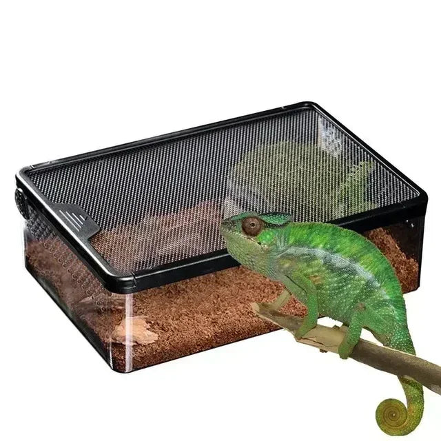Terrarium Transparent Anti-Évasion pour Reptiles et Amphibiens