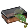Terrarium Transparent Anti-Évasion pour Reptiles et Amphibiens