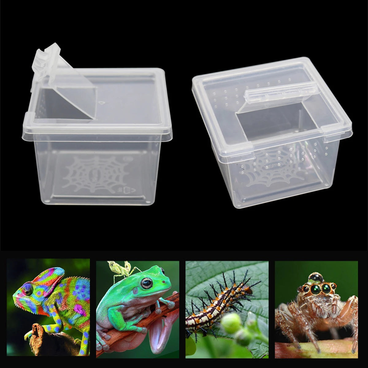Petite Boîte d'Élevage Carrée Reptiles – Plastique ABS Transparent