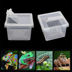 Petite Boîte d'Élevage Carrée Reptiles – Plastique ABS Transparent