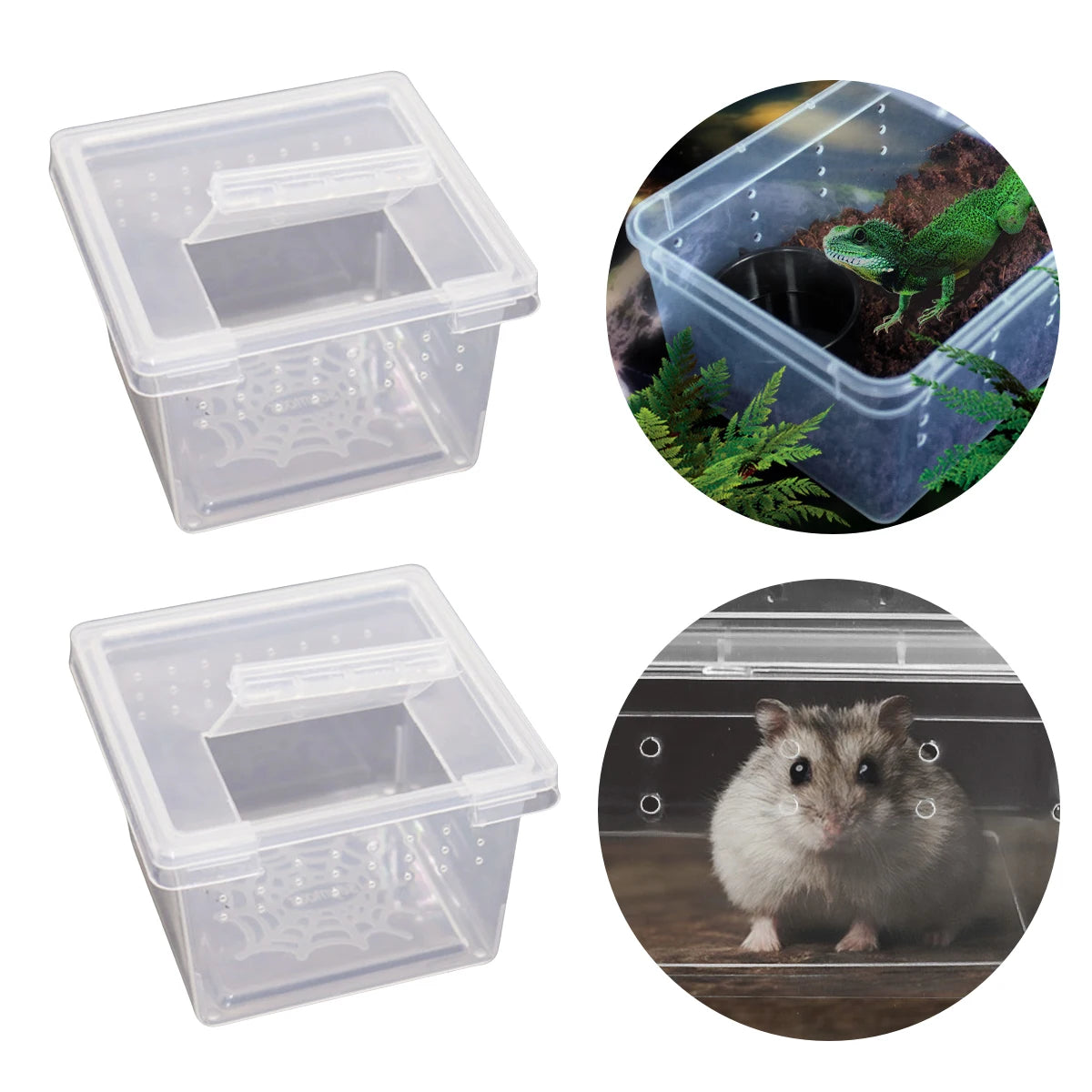 Petite Boîte d'Élevage Carrée Reptiles – Plastique ABS Transparent