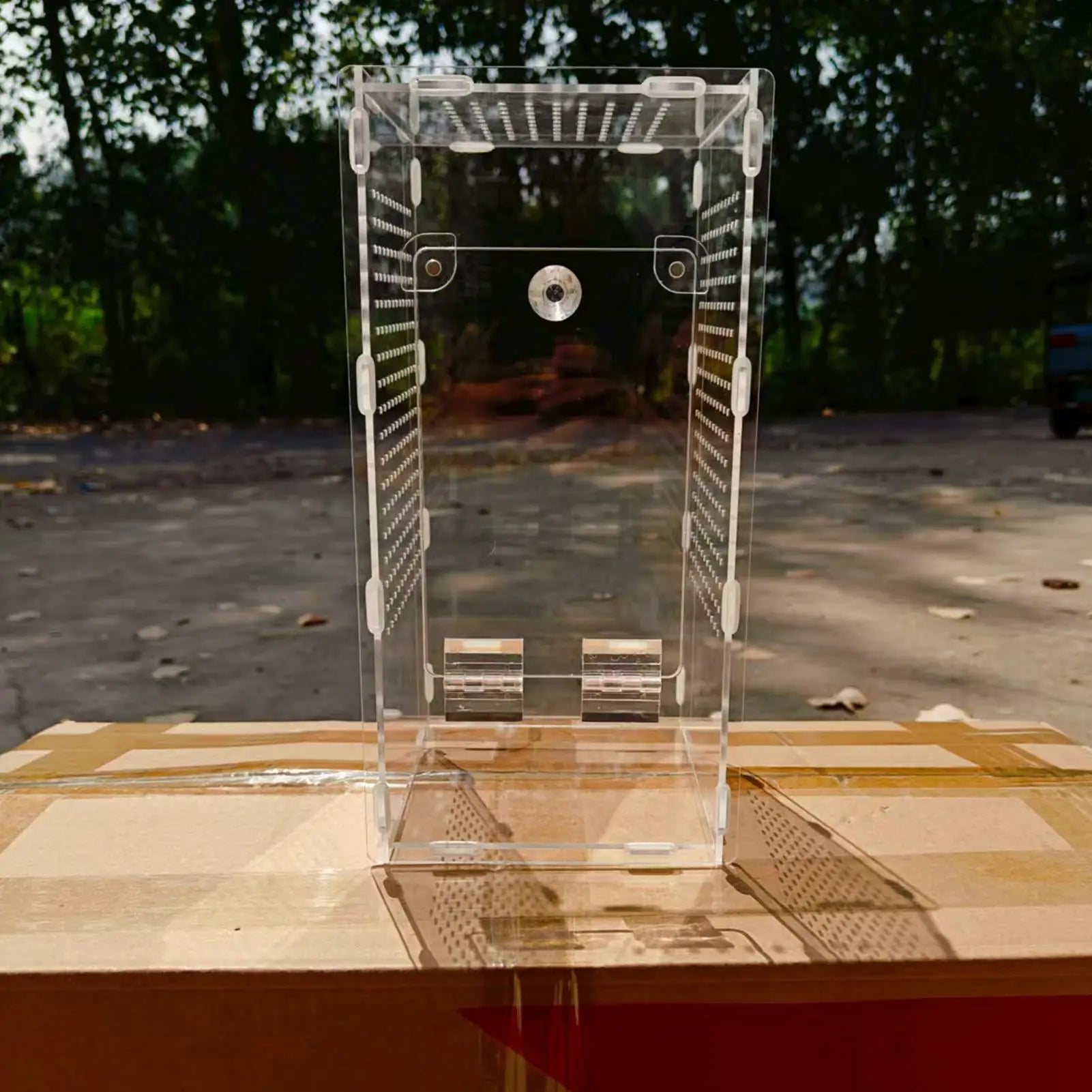 Terrarium Acrylique 360 Degrés