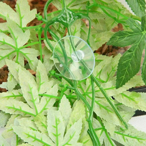 Plante Terrarium Vigne Suspendue Résine