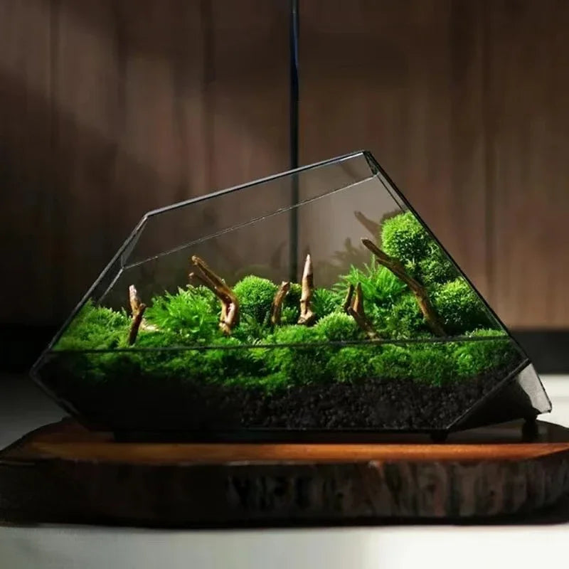 Terrarium Plante Microscopique Verre Métal Design Moderne - VIVARIUM PRO