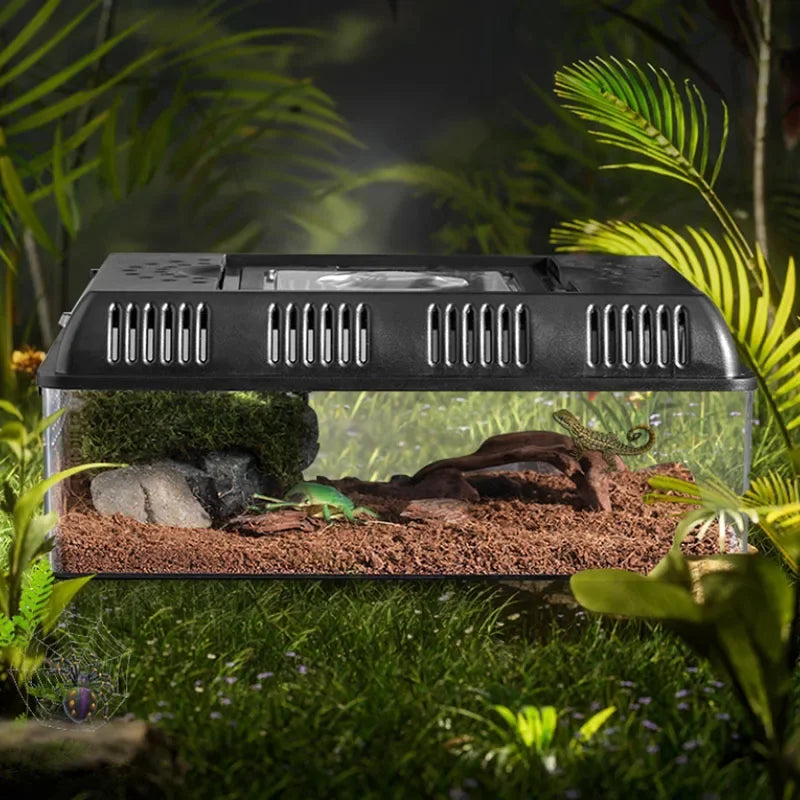Terrarium D'élevage en plein Air Reptiles et Amphibiens