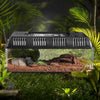 Terrarium D'élevage en plein Air Reptiles et Amphibiens
