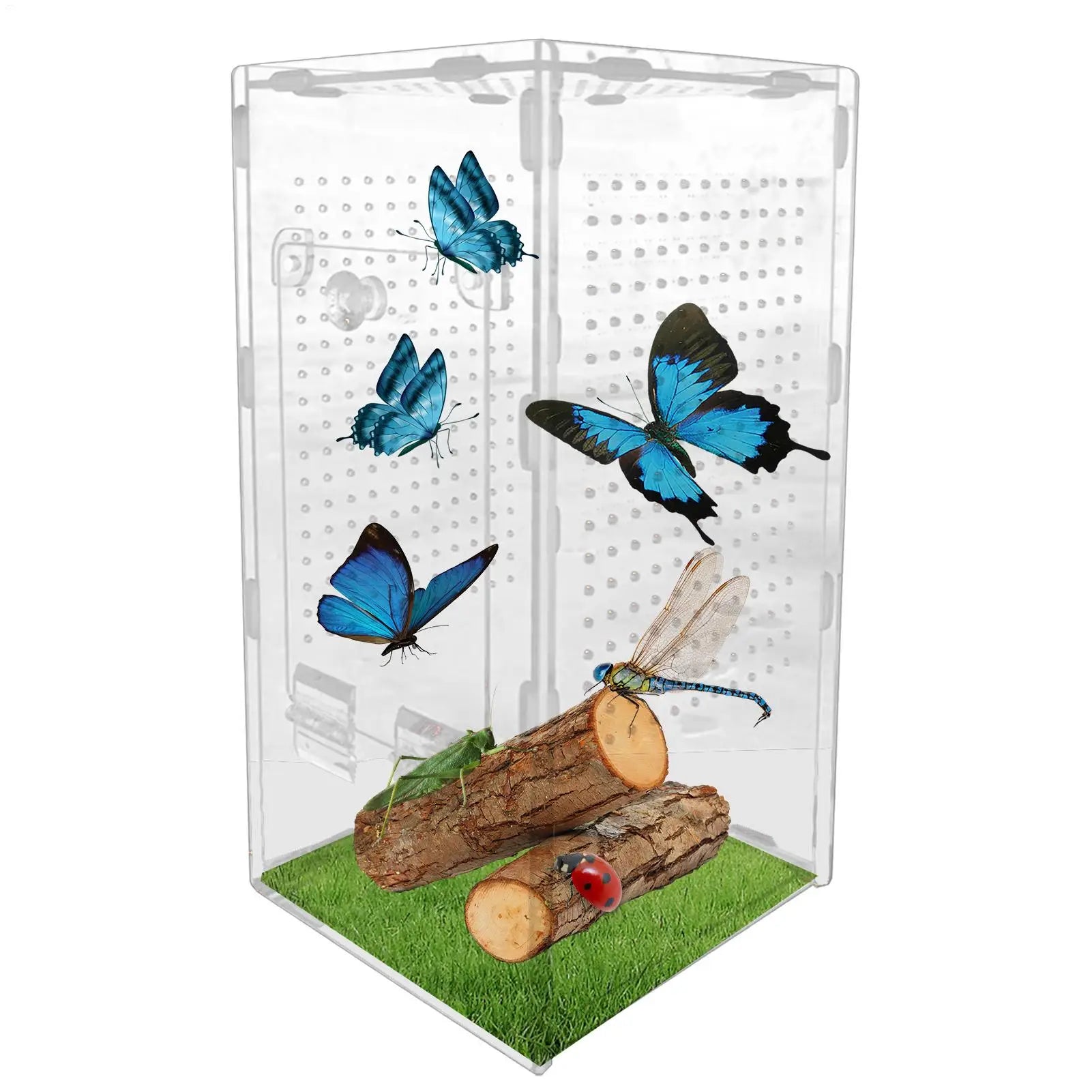 Terrarium Acrylique 360 Degrés